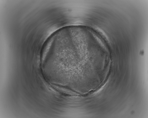 X0000097651457200803142059