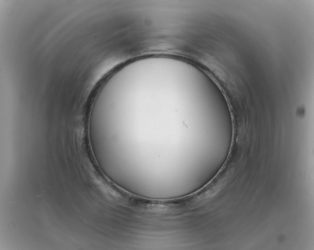 X0000097651458200803142059