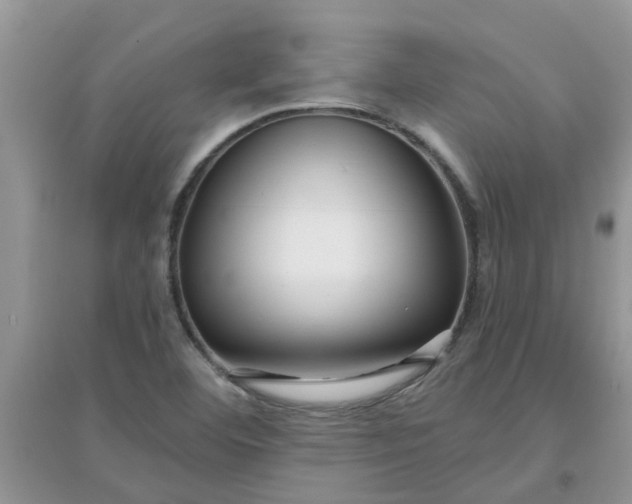 X0000097651460200803142059