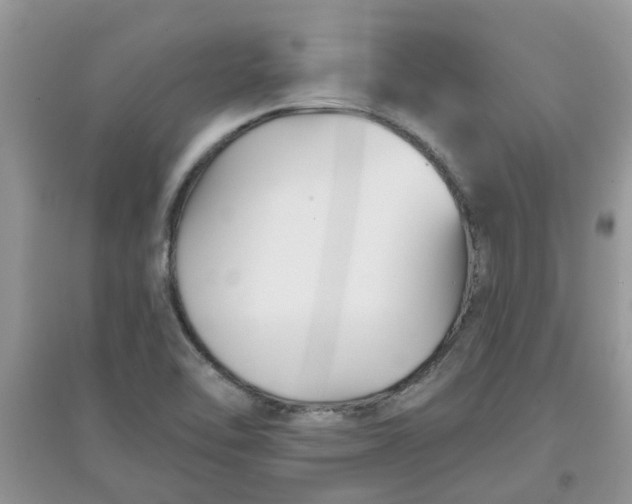 X0000097651462200803142059