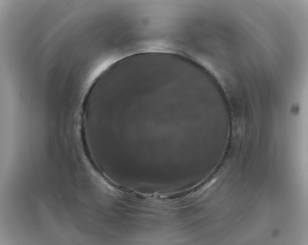 X0000097651463200803142059