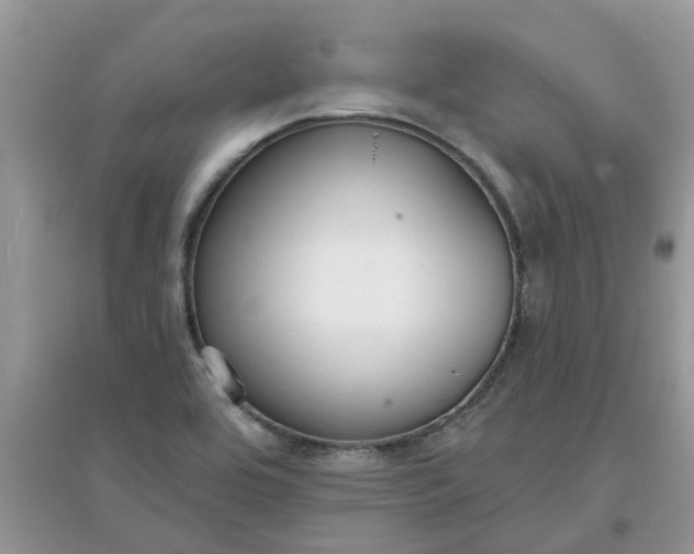 X0000097651464200803142059