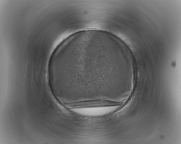 X0000097651469200803142059