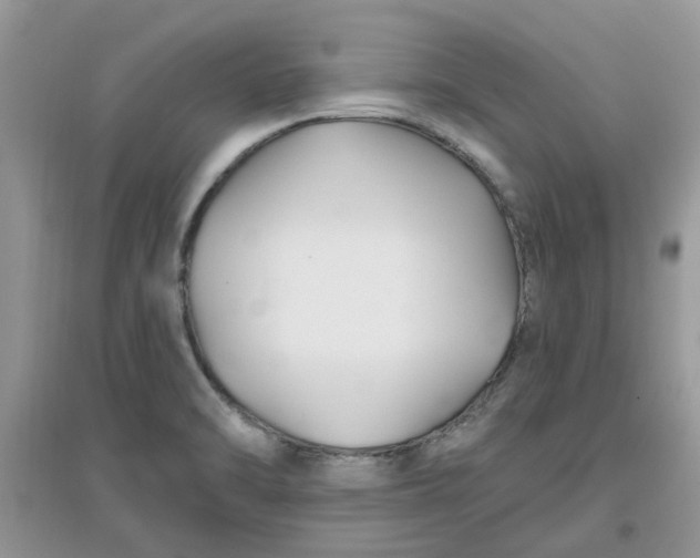 X0000097651470200803142059