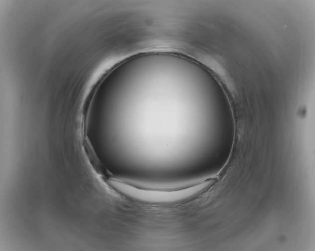 X0000097651472200803142059