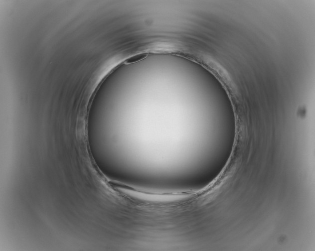 X0000097651473200803142059