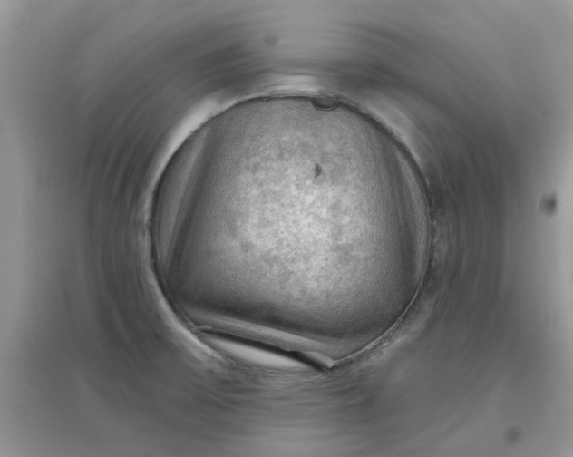 X0000097651475200803142059