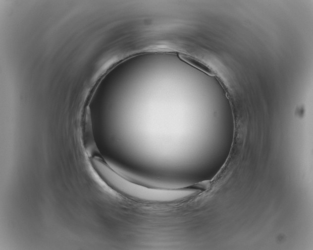 X0000097651476200803142058