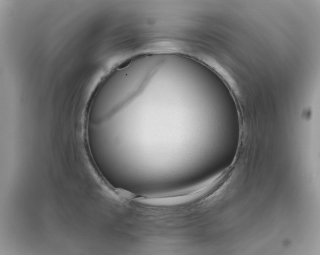 X0000097651477200803142058