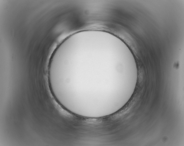 X0000097651478200803142058