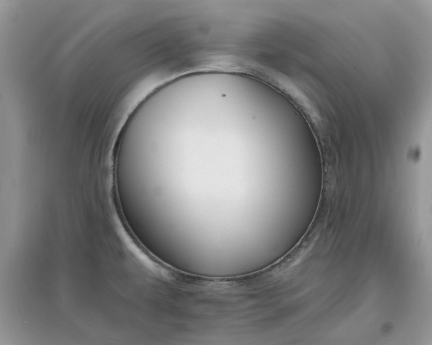 X0000097651479200803142058