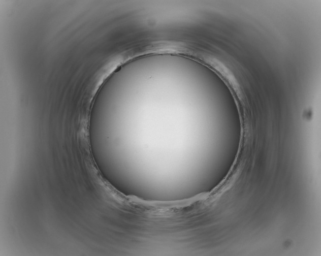 X0000097651481200803142058