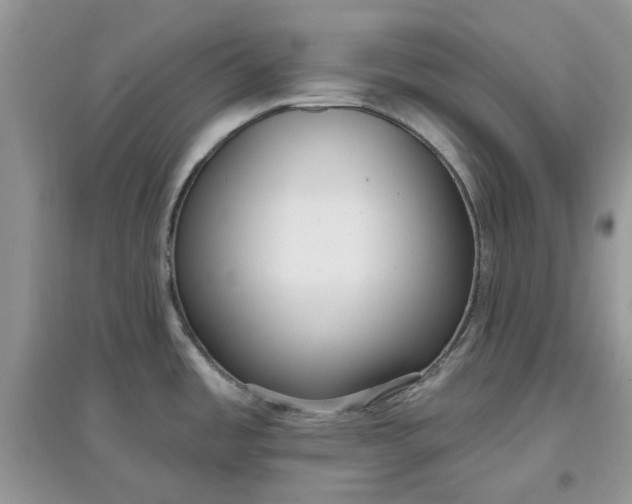 X0000097651485200803142058