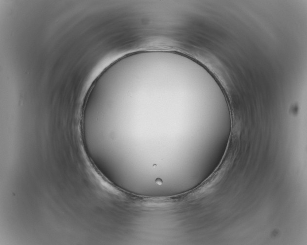 X0000097651486200803142058