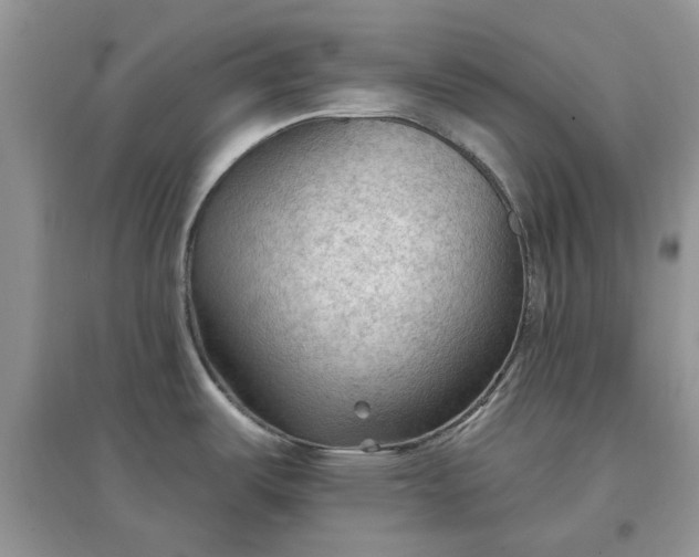 X0000097651487200803142058