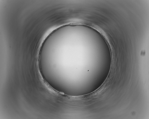 X0000097651488200803142058