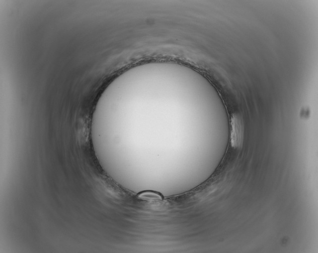 X0000097651491200803142058