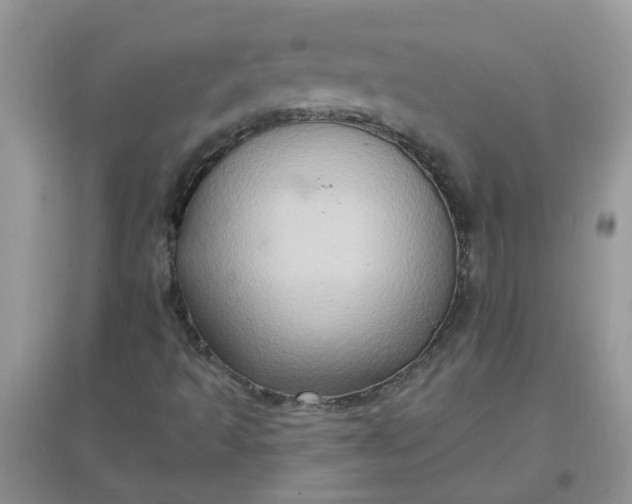 X0000097651493200803142058