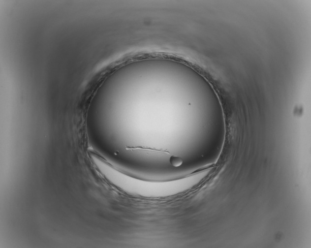 X0000097651494200803142058