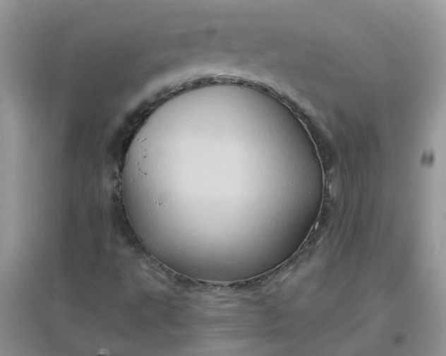 X0000097651495200803142058