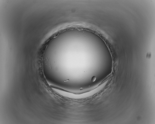 X0000097651496200803142058