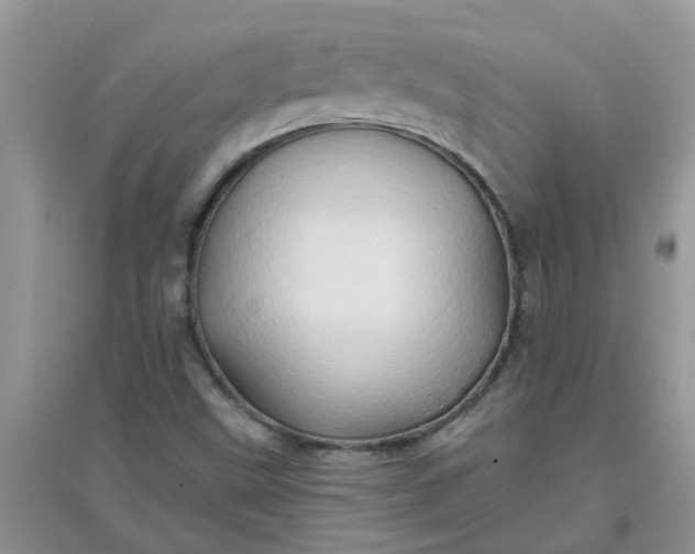 X0000097651499200803142058