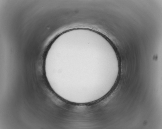 X0000097651502200803142058