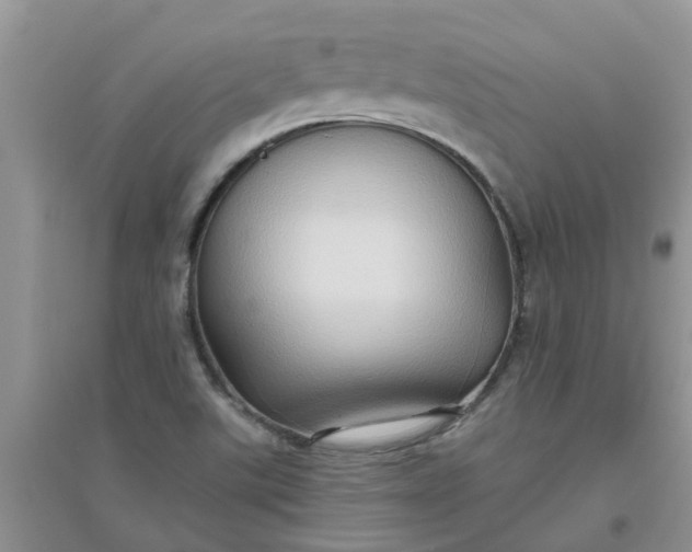 X0000097651507200803142058