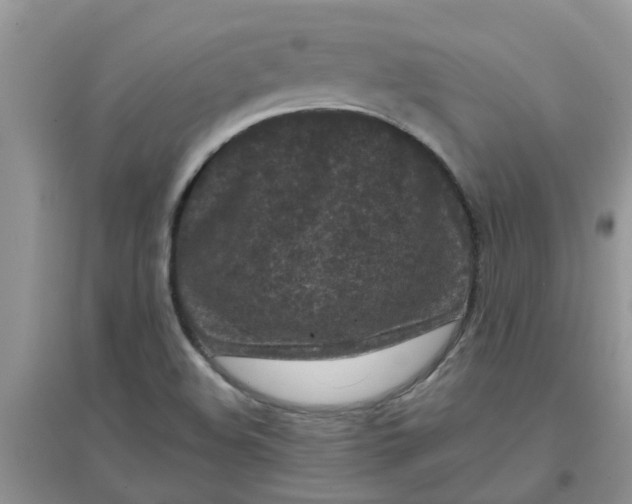 X0000097651508200803142058