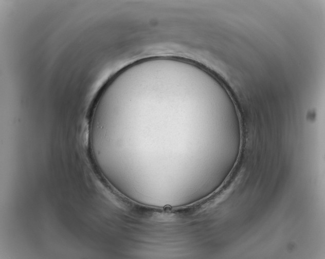 X0000097651509200803142058