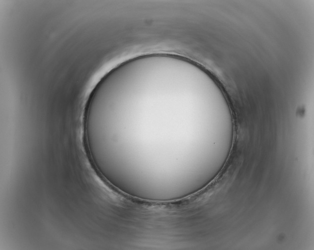 X0000097651512200803142058