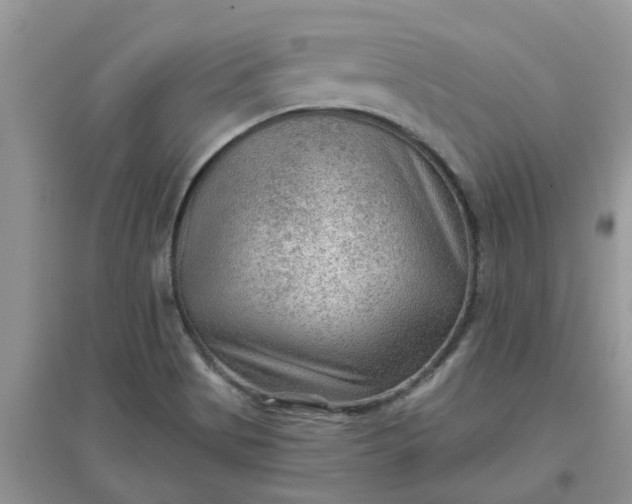 X0000097651513200803142058