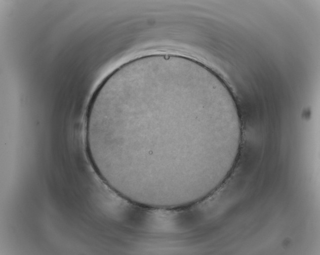 X0000097651514200803142058