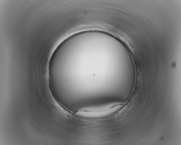 X0000097651516200803142058