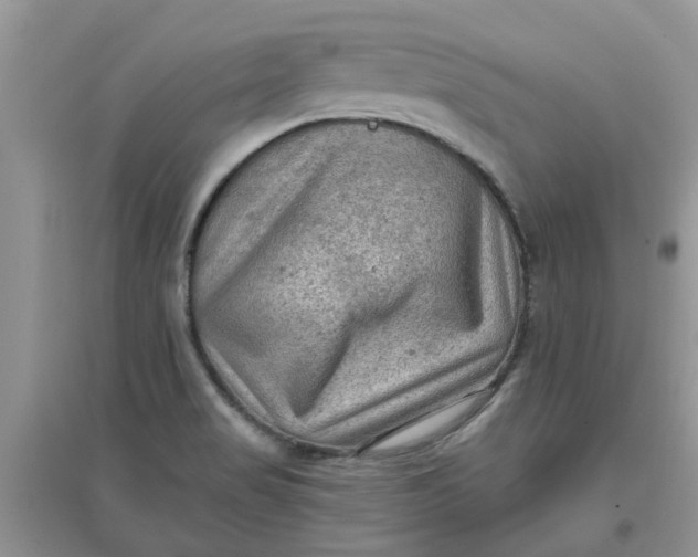 X0000097651517200803142058