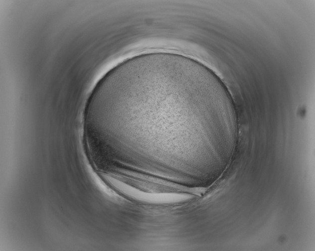 X0000097651523200803142058