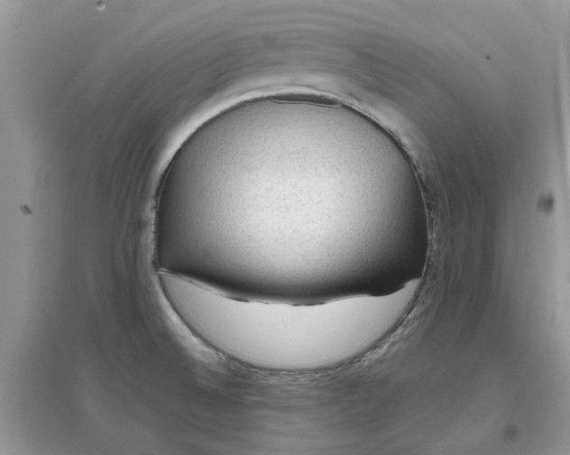 X0000097651524200803142058