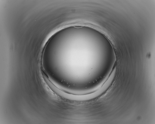 X0000097651530200803142058