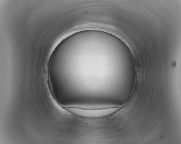 X0000097651531200803142058