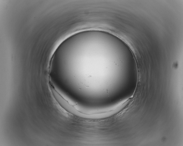 X0000097651532200803142058