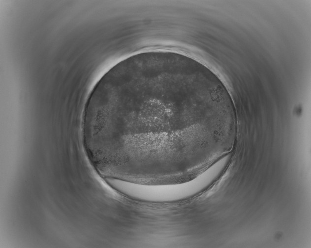 X0000097651533200803142058