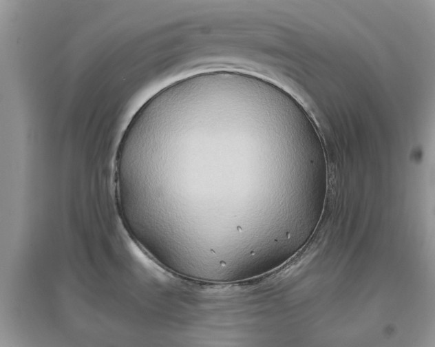 X0000097651535200803142058