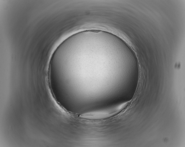 X0000097651536200803142058