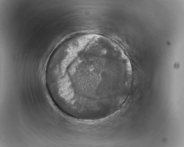 X0000097650002200803211907