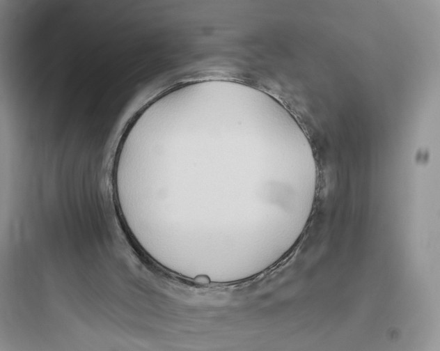 X0000097650004200803211907