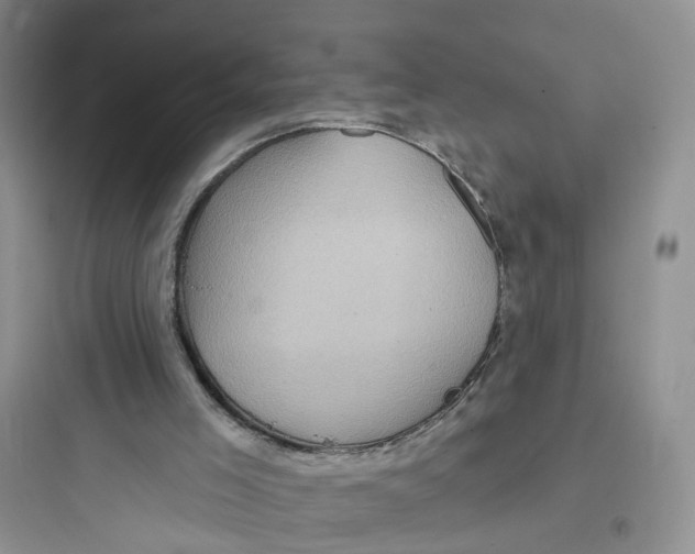 X0000097650005200803211907