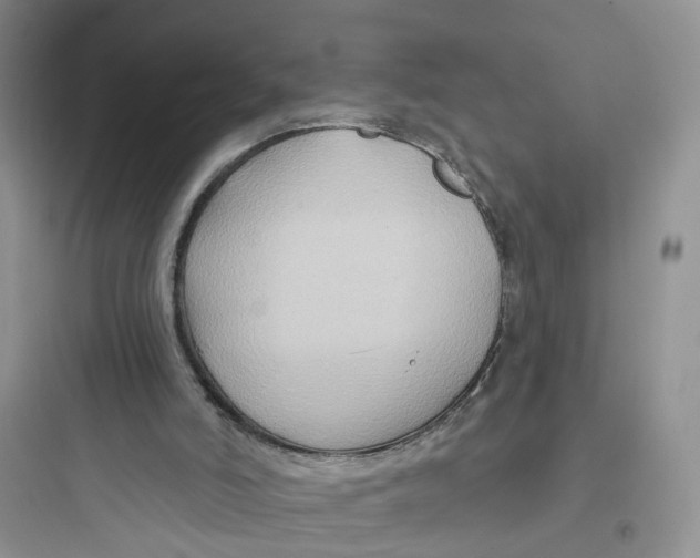 X0000097650006200803211907