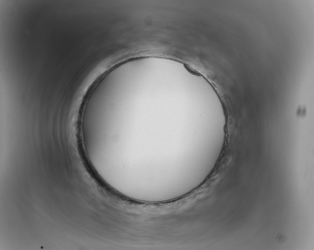 X0000097650007200803211907