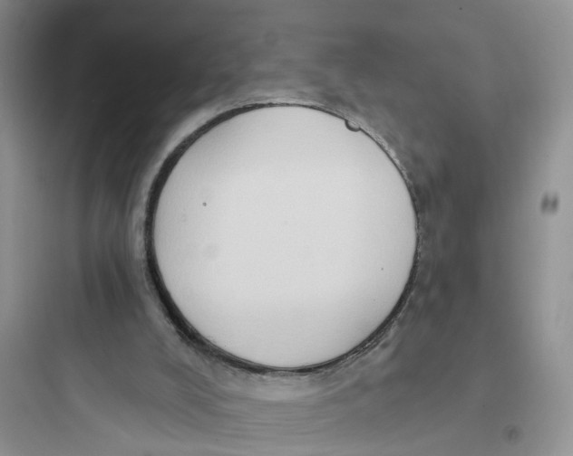 X0000097650008200803211907