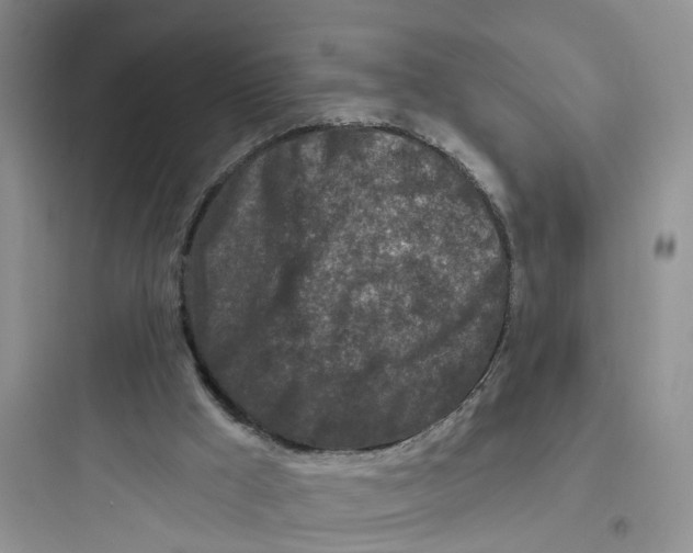 X0000097650009200803211907